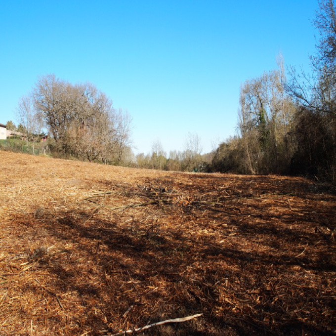 Offres de vente Terrain Montaigut-sur-Save (31530)